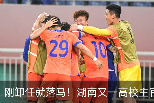 刚卸任就落马！湖南又一高校主官被拿下，和南华大学渊源很深