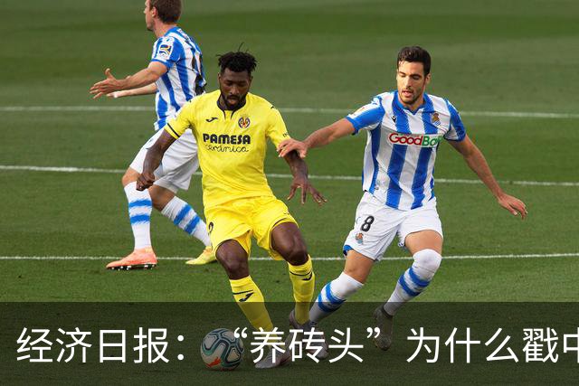 经济日报：“养砖头”为什么戳中年轻人？