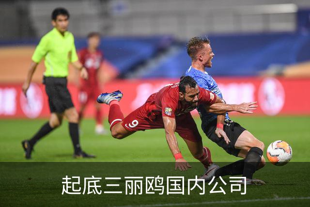 起底三丽鸥国内公司