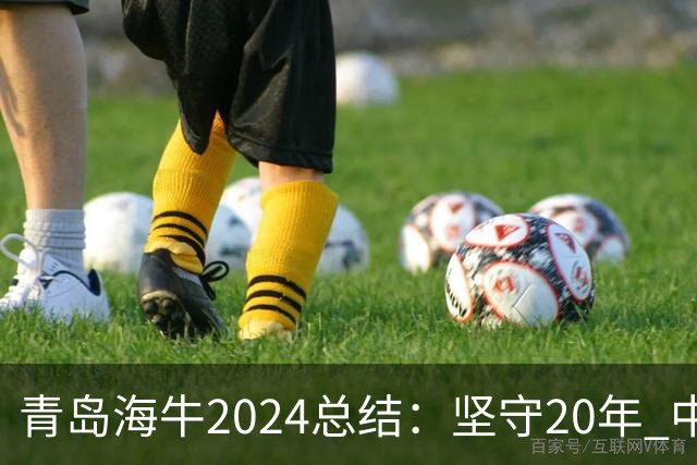 青岛海牛2024总结：坚守20年 中能的拼争与困境